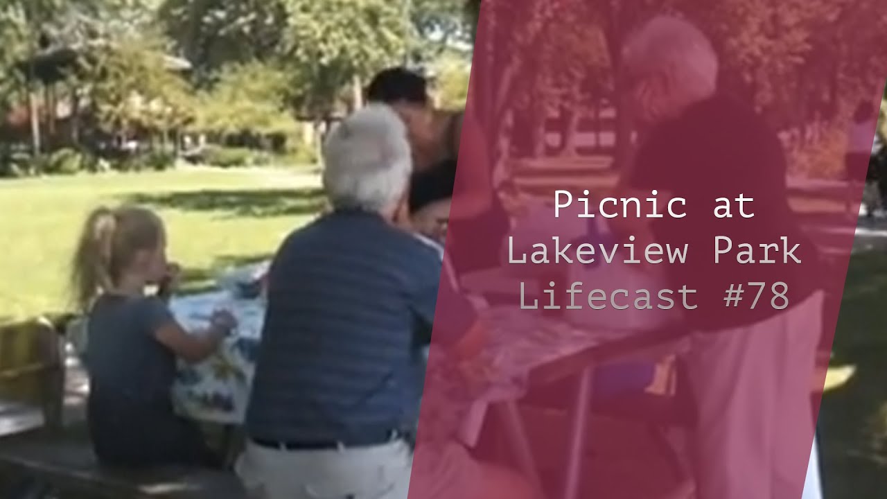 Picnic at Lakeview Park